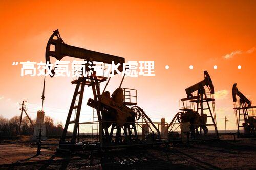 “高效氨氮污水處理，綠色環(huán)保新篇章”